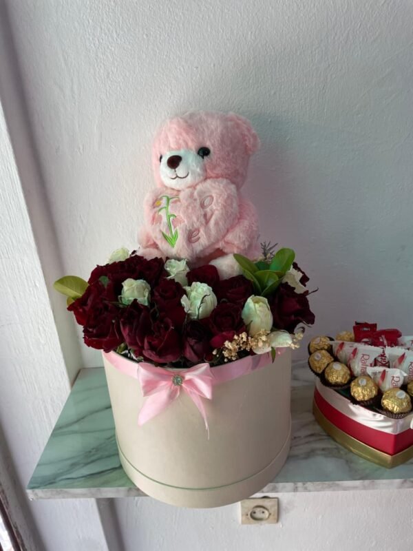 Pack Love Circle Premium